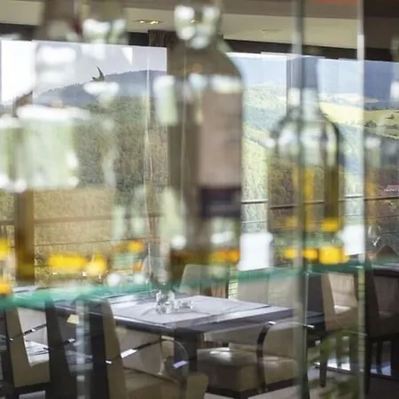 Restaurant Les Alisiers ホテル 3*