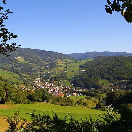 ホテル Restaurant Les Alisiers