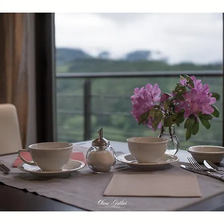 Restaurant Les Alisiers ホテル ラプートロワ