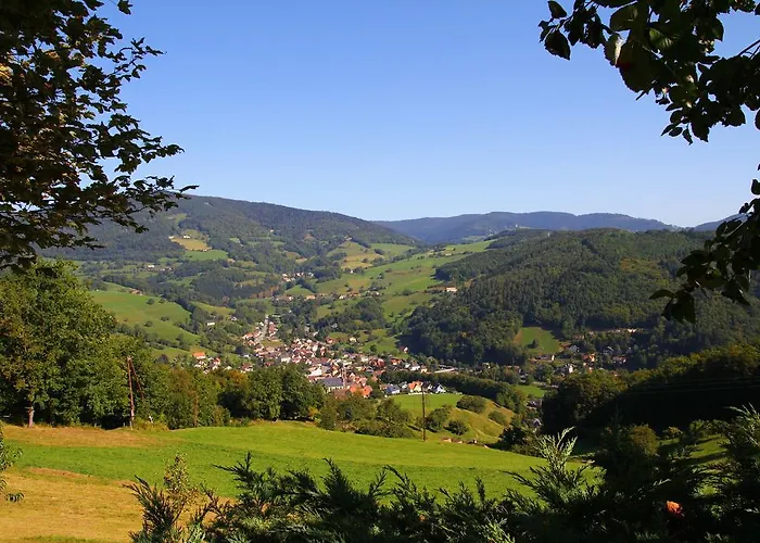 酒店 Restaurant Les Alisiers