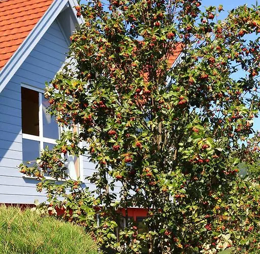 Hotel Restaurant Les Alisiers Lapoutroie