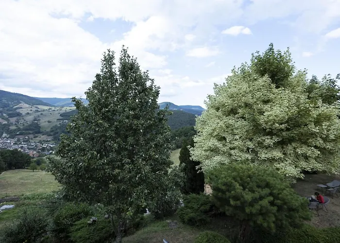 Hotel Restaurant Les Alisiers