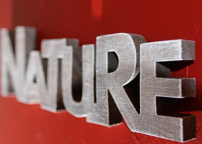 Restaurant Les Alisiers 酒店 拉博特洛埃